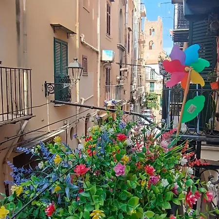 Casa Sarina *